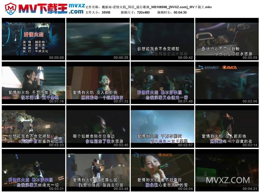 魏新雨-爱情火焰_国语_流行歌曲_MB108598